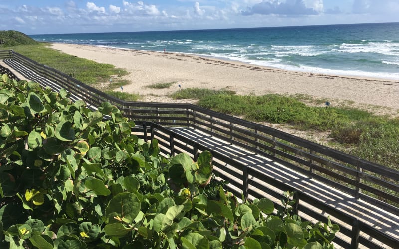 John D. MacArthur Beach State Park, from its own website