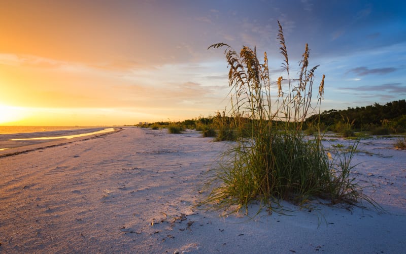 Lovers Key State Park, from its own website