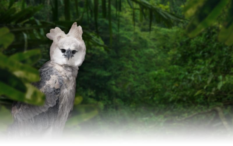 National Aviary, from its own website