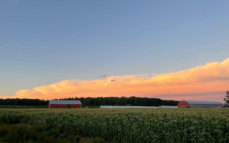 Stanton's Feura Farm, from its own website