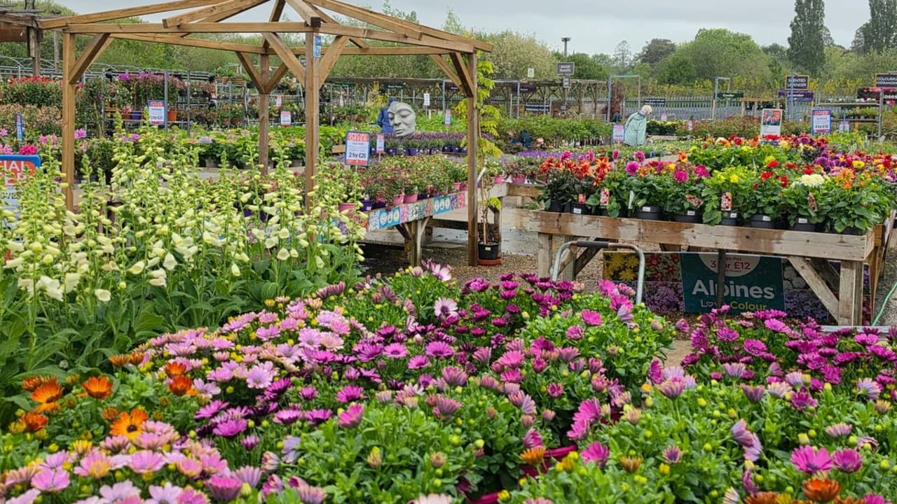 Carpenders Park Garden Centre in Watford