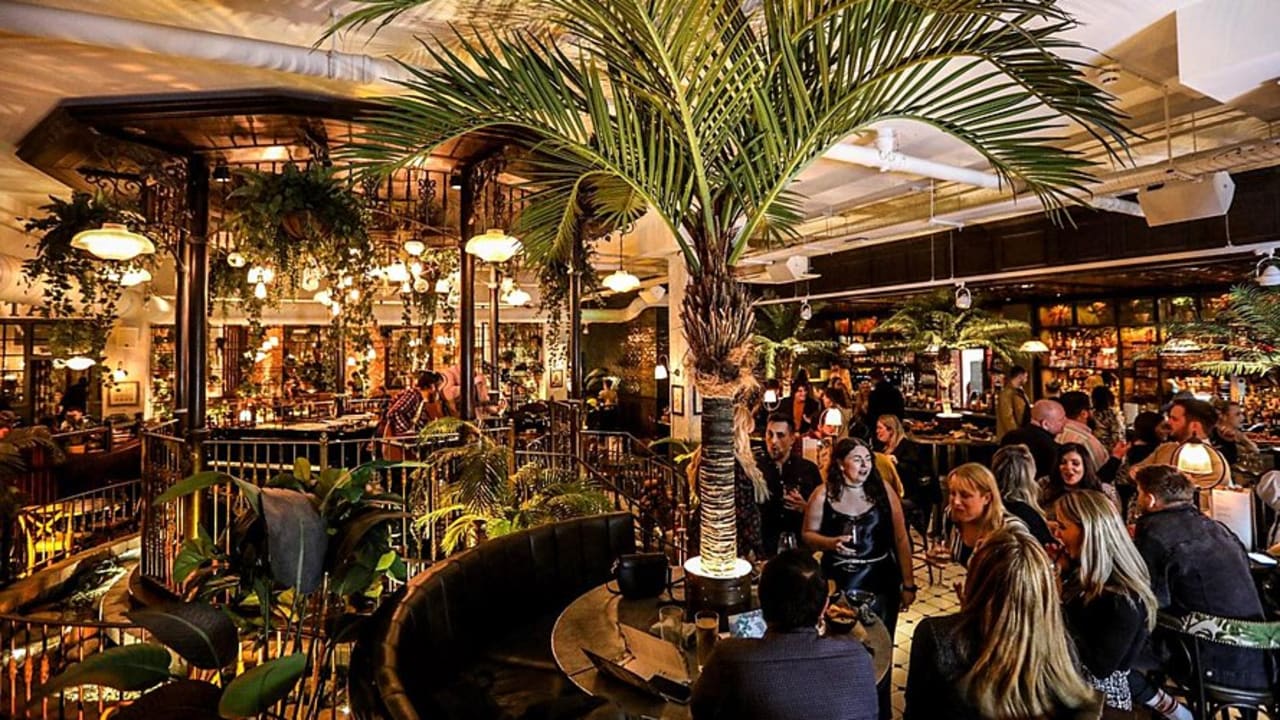 The Botanist in Exeter