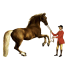 The Horse & Groom logo