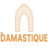 Damastique logo