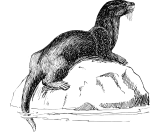 The Otter Inn logo