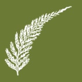 Ramblewood Inn logo