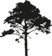 The Great North Wood logo