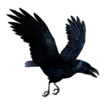 The Raven W6 logo