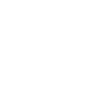 The Union Arms logo