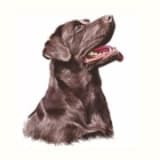 The Dog Inn logo