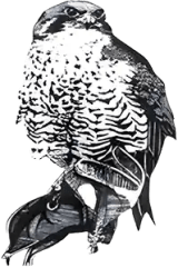 The Bird In Hand logo
