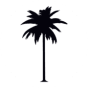 Coconut Tree