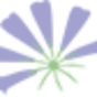 Blooms Restaurant