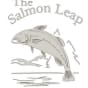 The Salmon Leap