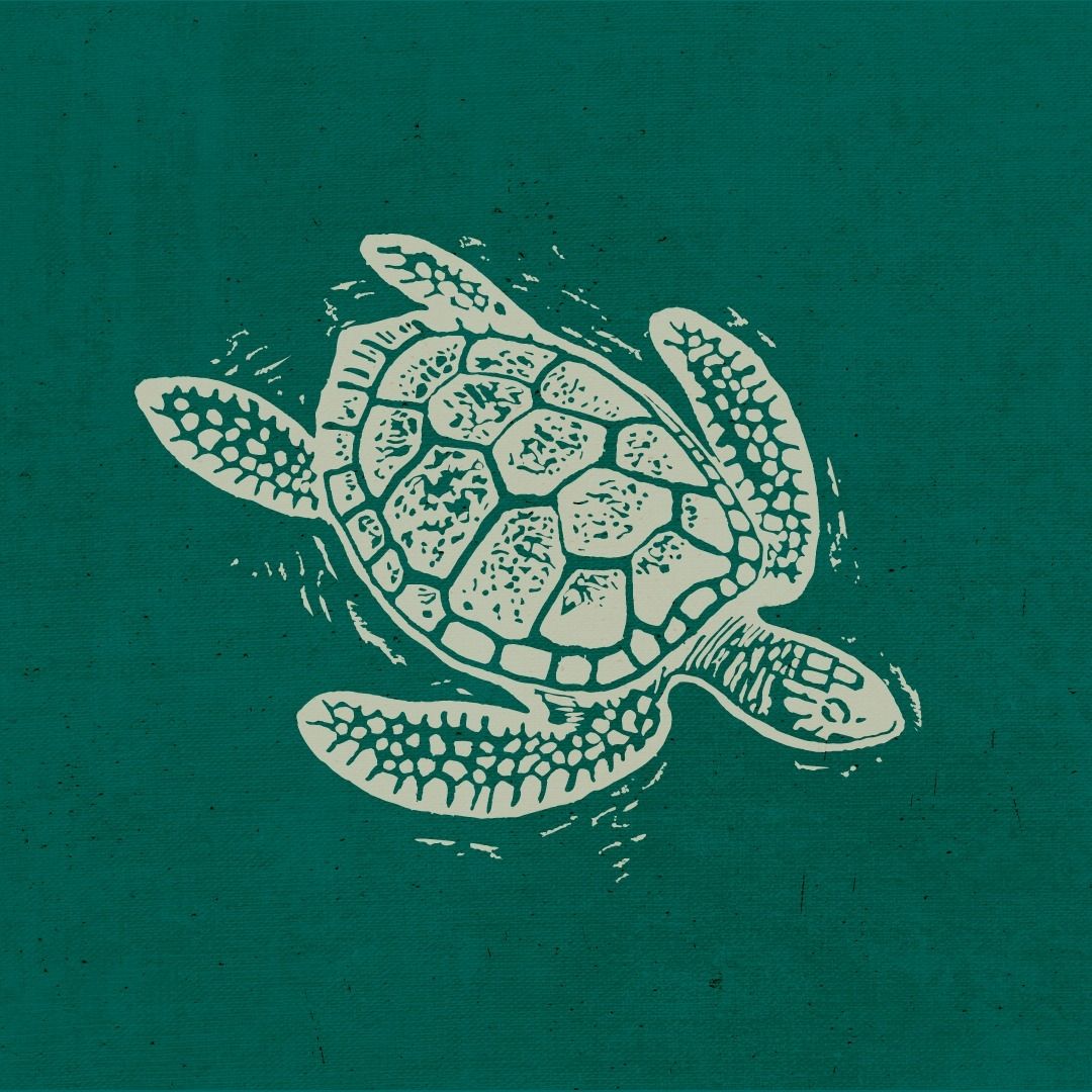 Turtle Bay