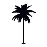 The Coconut Tree