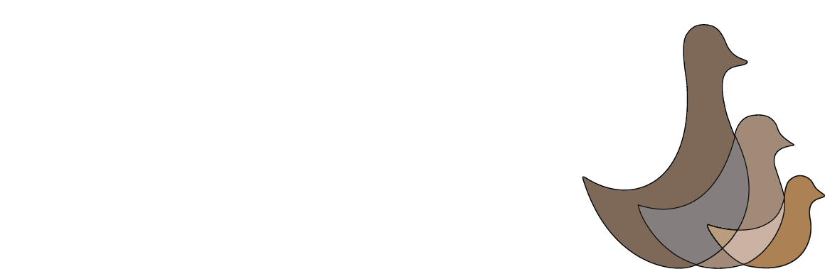 Three Birds