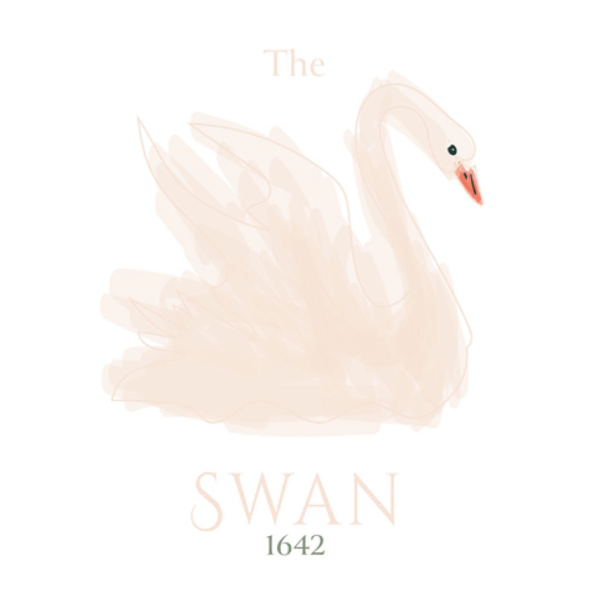 The Swan