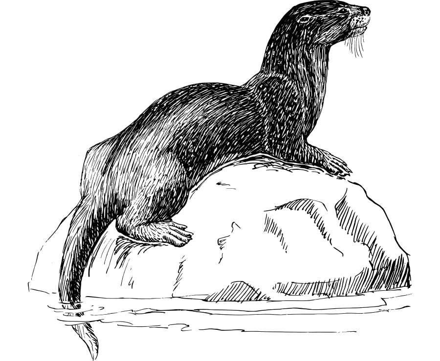 The Otter Inn
