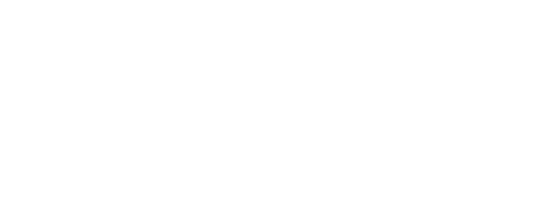 Sizzlerz