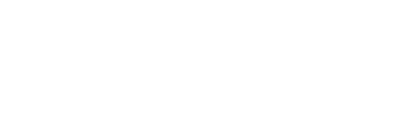 The Old Ship