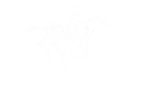 Horse and Jockey