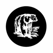 The White Bear