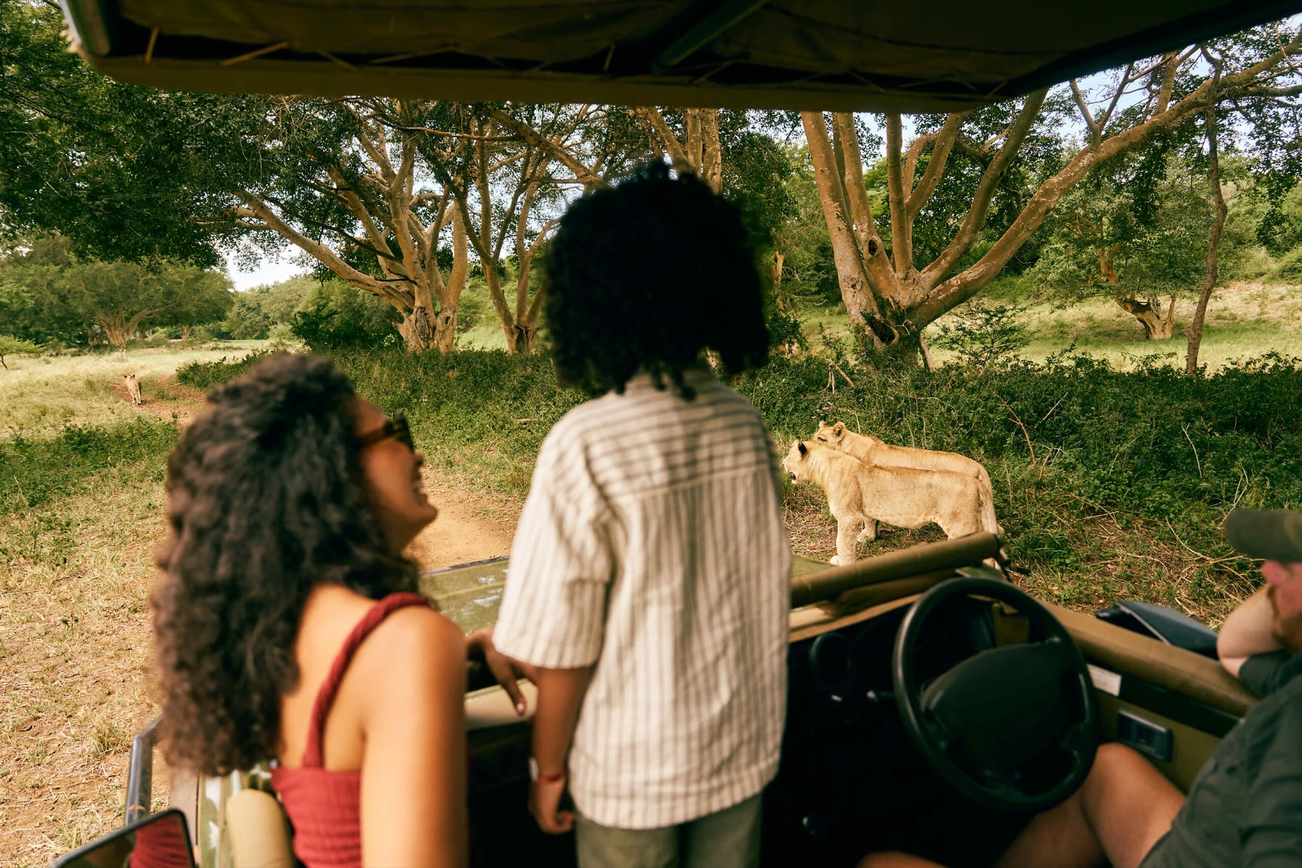 Safari im Geländewagen in der Vikela Safari Lodge von Club Med, Gäste beobachten ein Löwenjunges