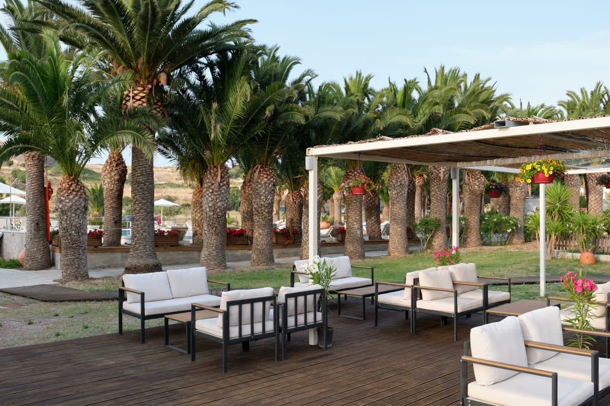 La terraza del hotel Aphrodite, amueblada con sofás bajos bajo una avenida de palmeras
