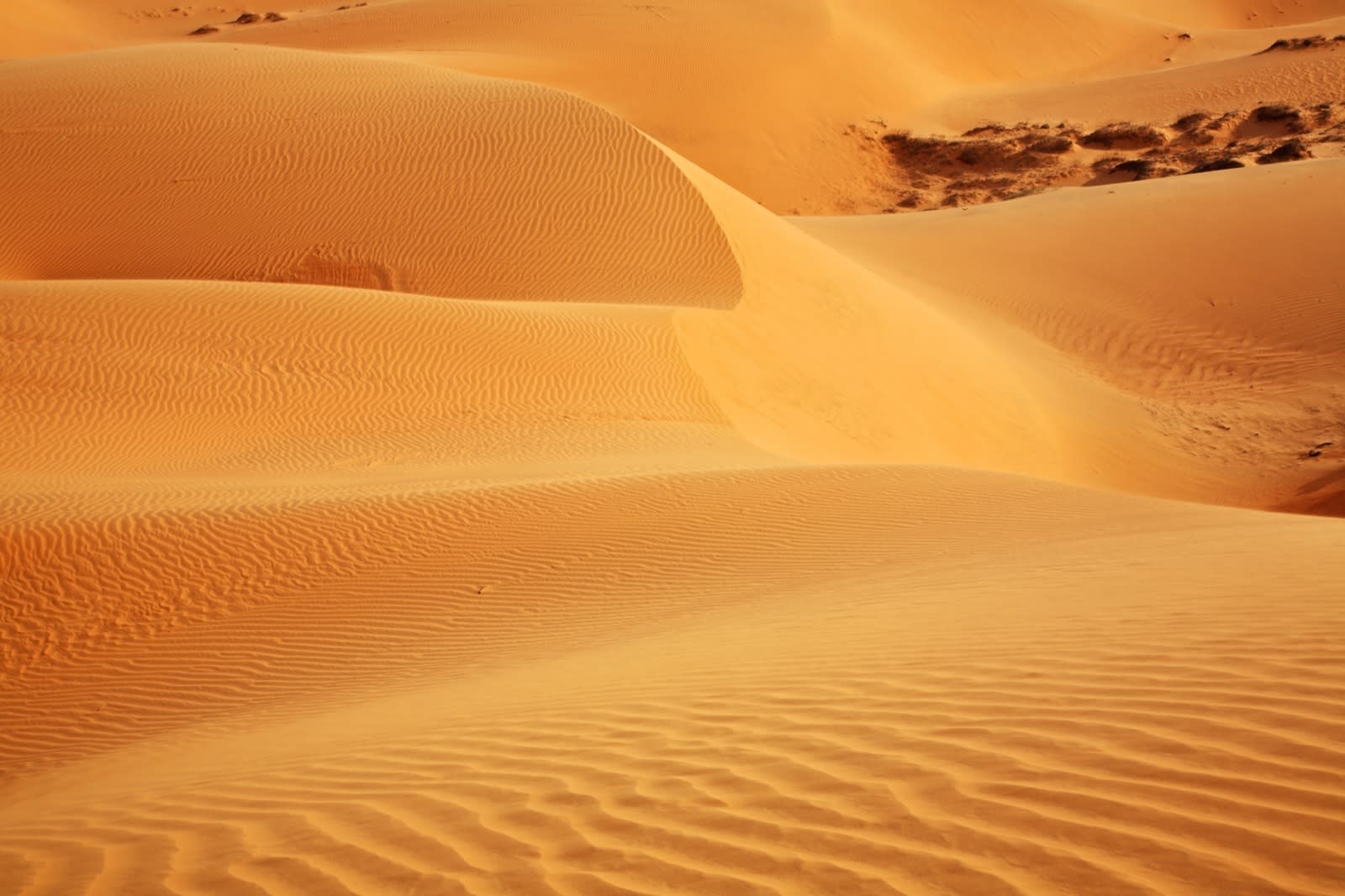 Les dunes de sable rouges de Mui Ne, paysages sahariens sous les tropiques