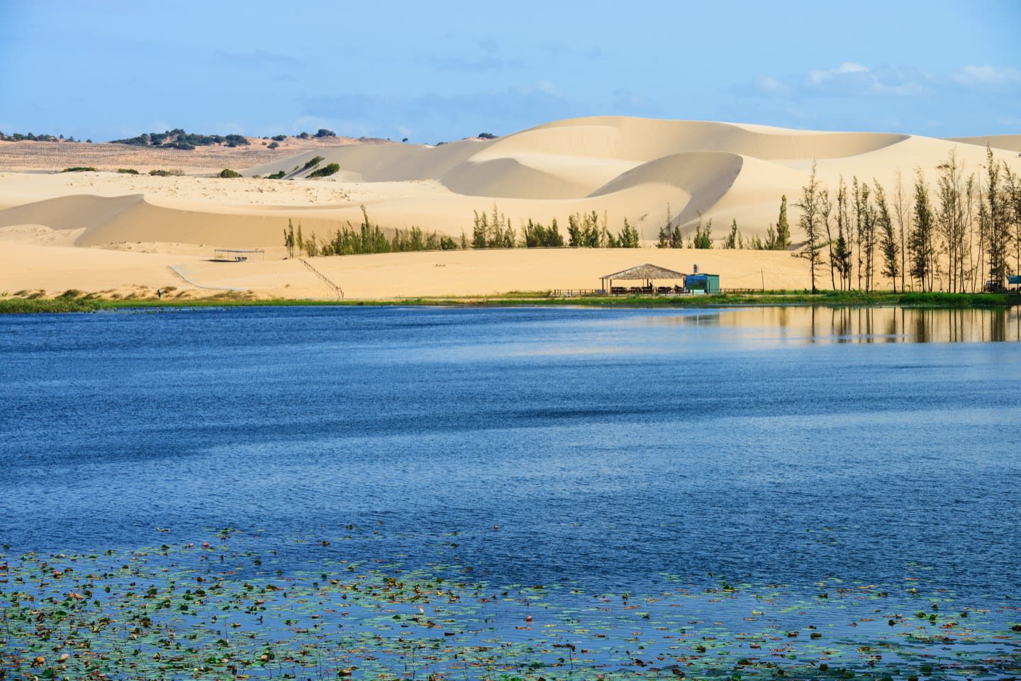Les dunes de sable blanches de Mui Ne au Vietnam
