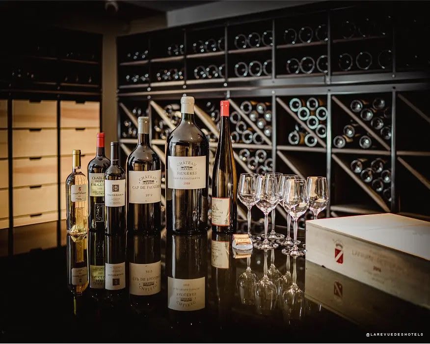 Cave voûtée historique de la Villa Florhof à Zurich avec grands crus