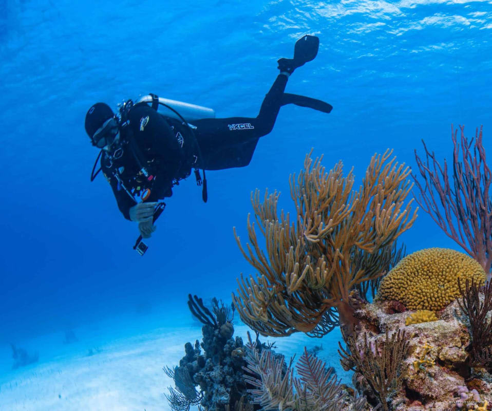 Plongeur explorant les récifs coralliens au large de South Caicos