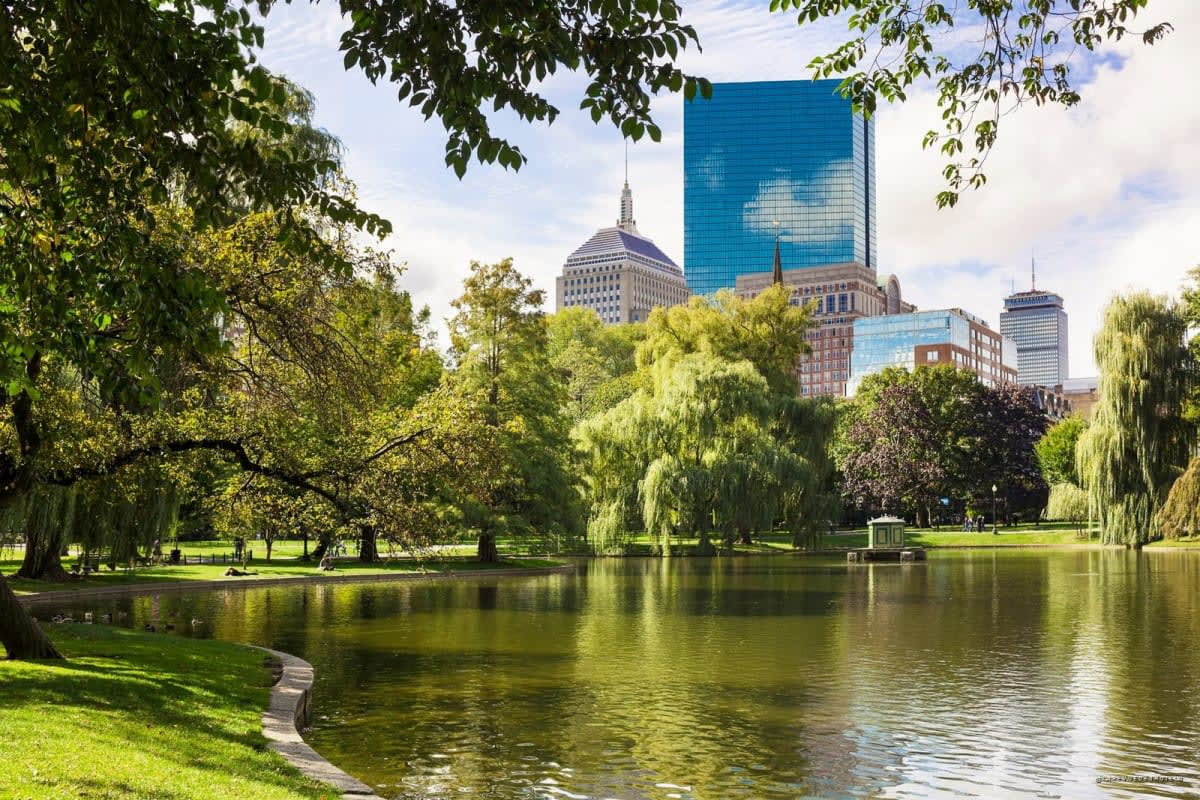 Le Public Garden de Boston et les tours de Back Bay