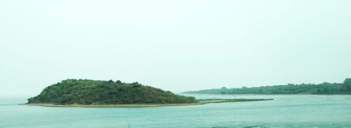 Îlot boisé au milieu des eaux saumâtres du lac Chilika, en Odisha