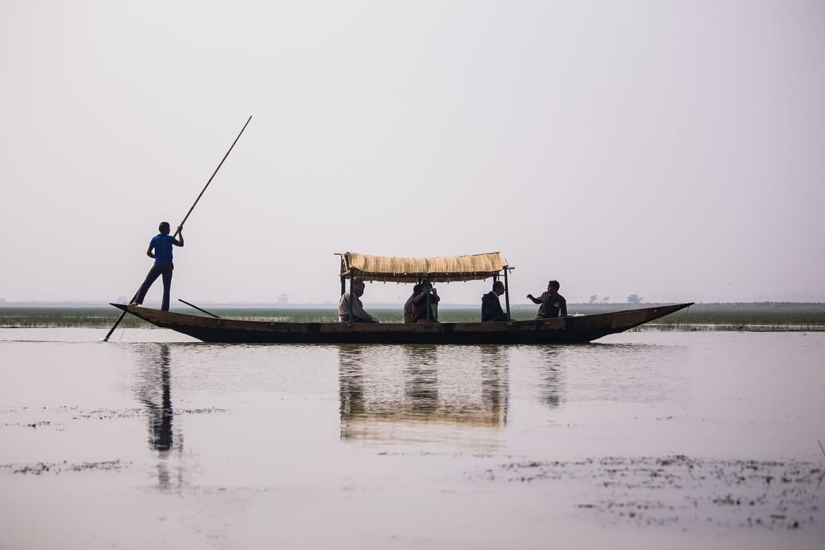 Barque à perche sur les marais de Mangalajodi, au nord du lac Chilika