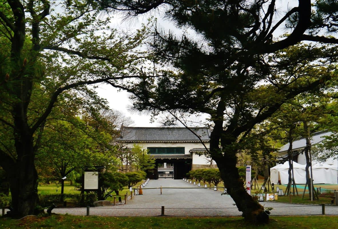La porte nord du château de Nijo aperçue sous les arbres