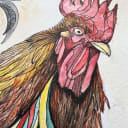 Chicken Head | Watercolour | Open Edition thumbnail 2