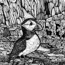 Guernsey | Puffin at Pleinmont Tower | Open Edition thumbnail 4