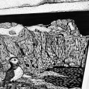 Guernsey | Puffin at Pleinmont Tower | Open Edition thumbnail 5