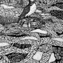 Guernsey | Puffin at Pleinmont Tower | Open Edition thumbnail 6