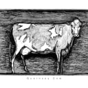 Guernsey Cow | Open Edition thumbnail 2