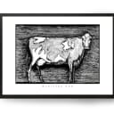 Guernsey Cow | Open Edition thumbnail 1