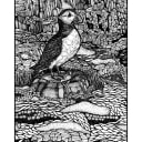 Puffin | Open Edition thumbnail 2