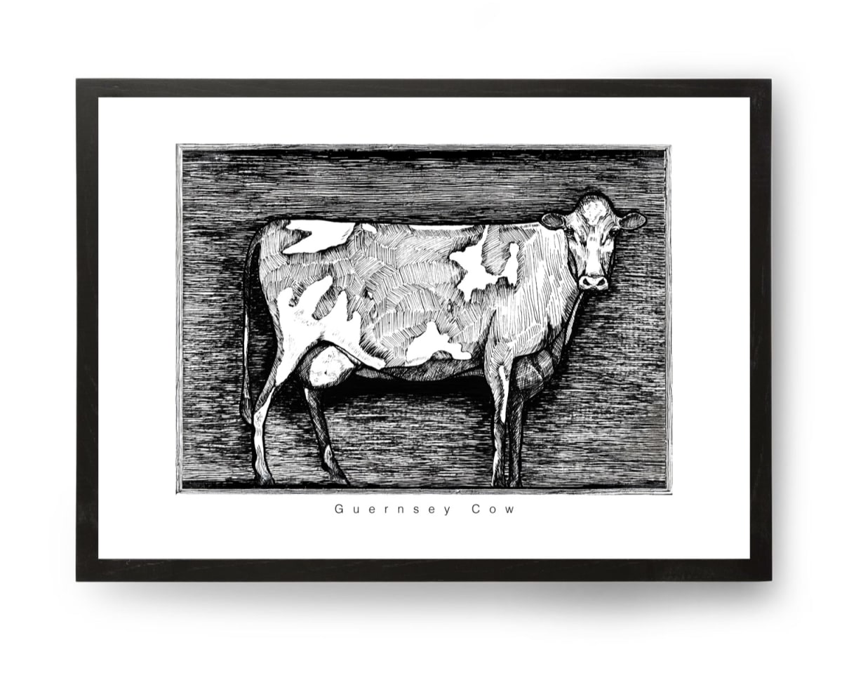Guernsey Cow | Open Edition