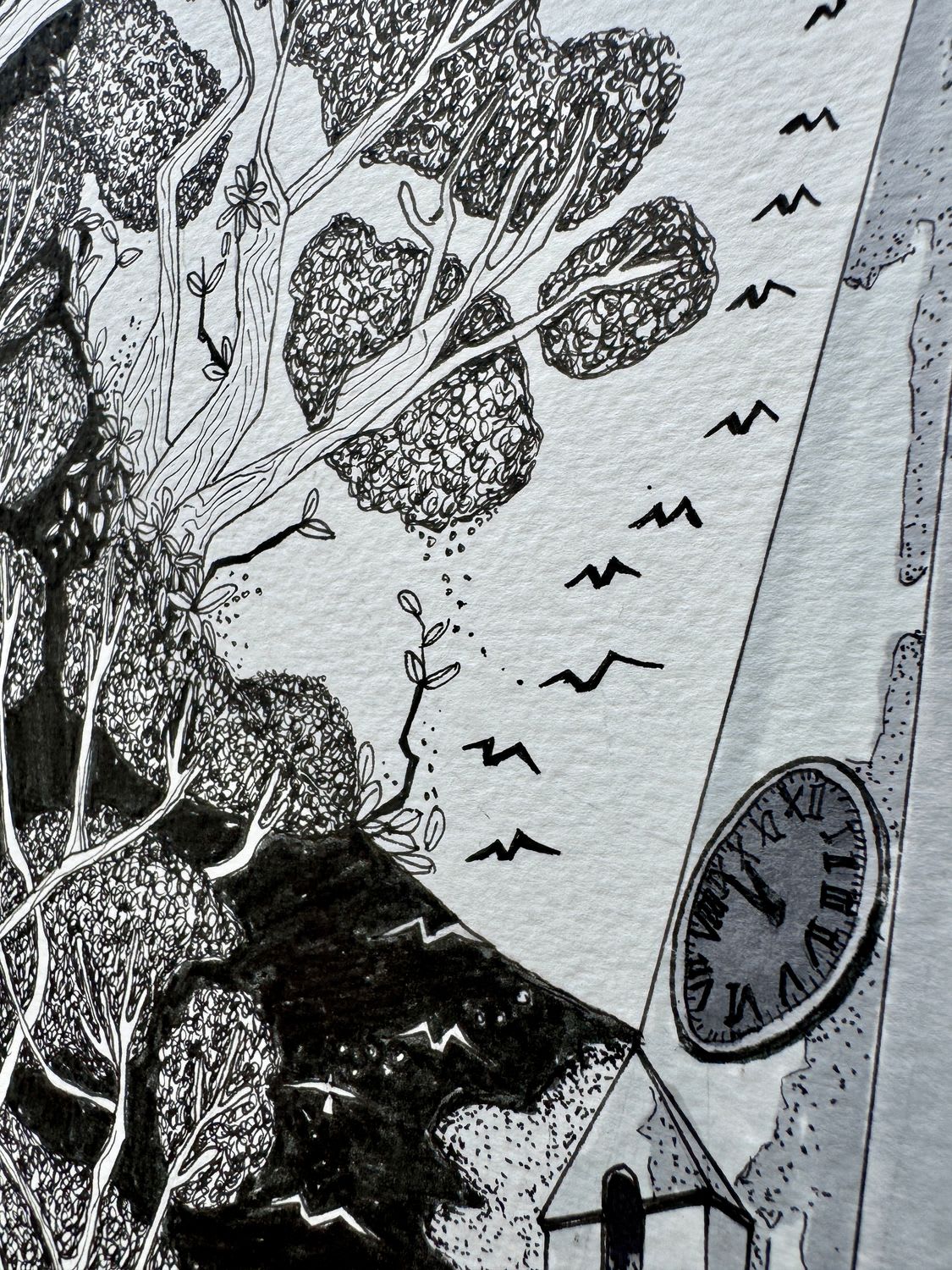 Guernsey | Vale Church + Crown shyness | Limited Edition thumbnail 6