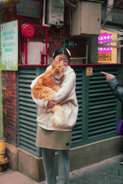 orange cat