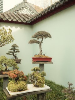 Penjing