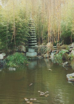 chinese garden