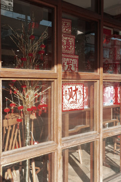 Chinese new year decorations